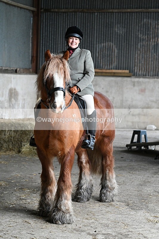 WJ7_8662 - Berks & Bucks - Rowles Farm 15-02-26