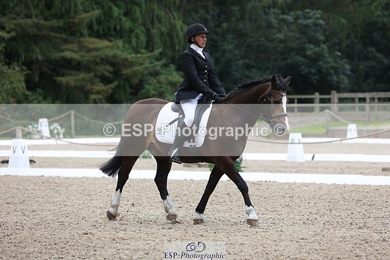 230812-102156-03200 - Cls 5 Novice Bronze Start to 10.55 break