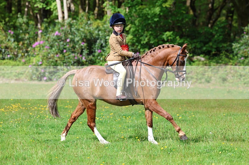 3E7A2644 - Working Hunter Championship