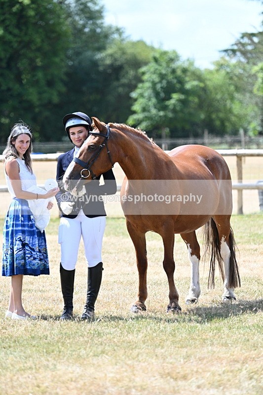 WJ7_2054 - Class 4a Prettiest Mare 14.2hh and over hand