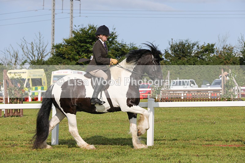 1X9A3128 - Class 27:  Ridden Native/Trad Coloured Horse