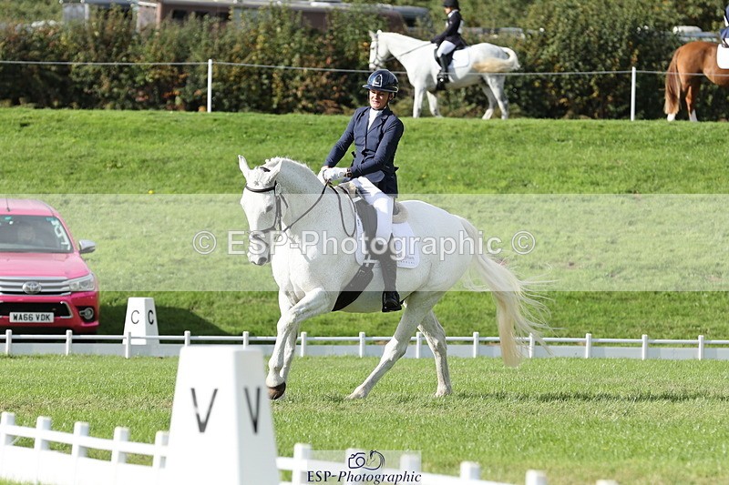 251024A-133155-12597 - H-651-Victoria.Tar