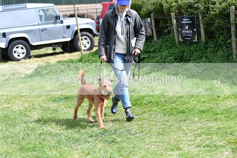 WJ5_0392 - Class 7 Best Terrier