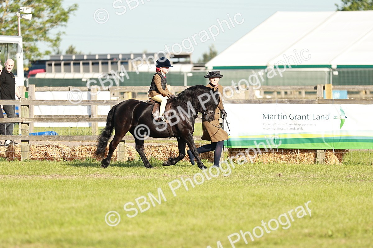SBM_11050 - Class 106-107 - BSPS LIHS Working Sports Pony