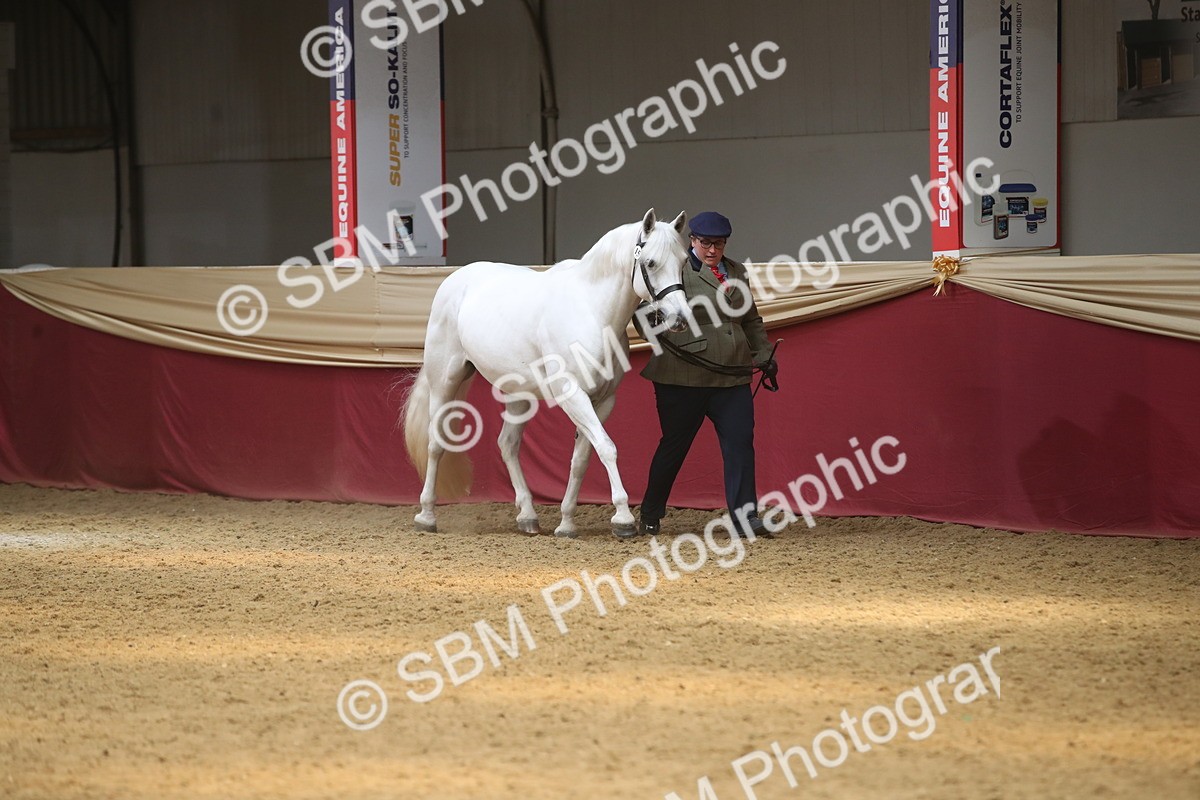 SBM_05579 - Class 9R - Regional IH Pre-Vet
