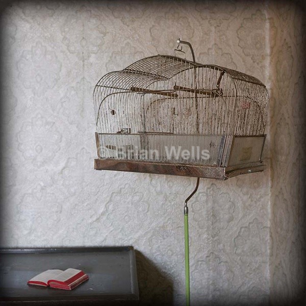 Bird Cage with Little Red Book - 'Stanley's Farmhouse'