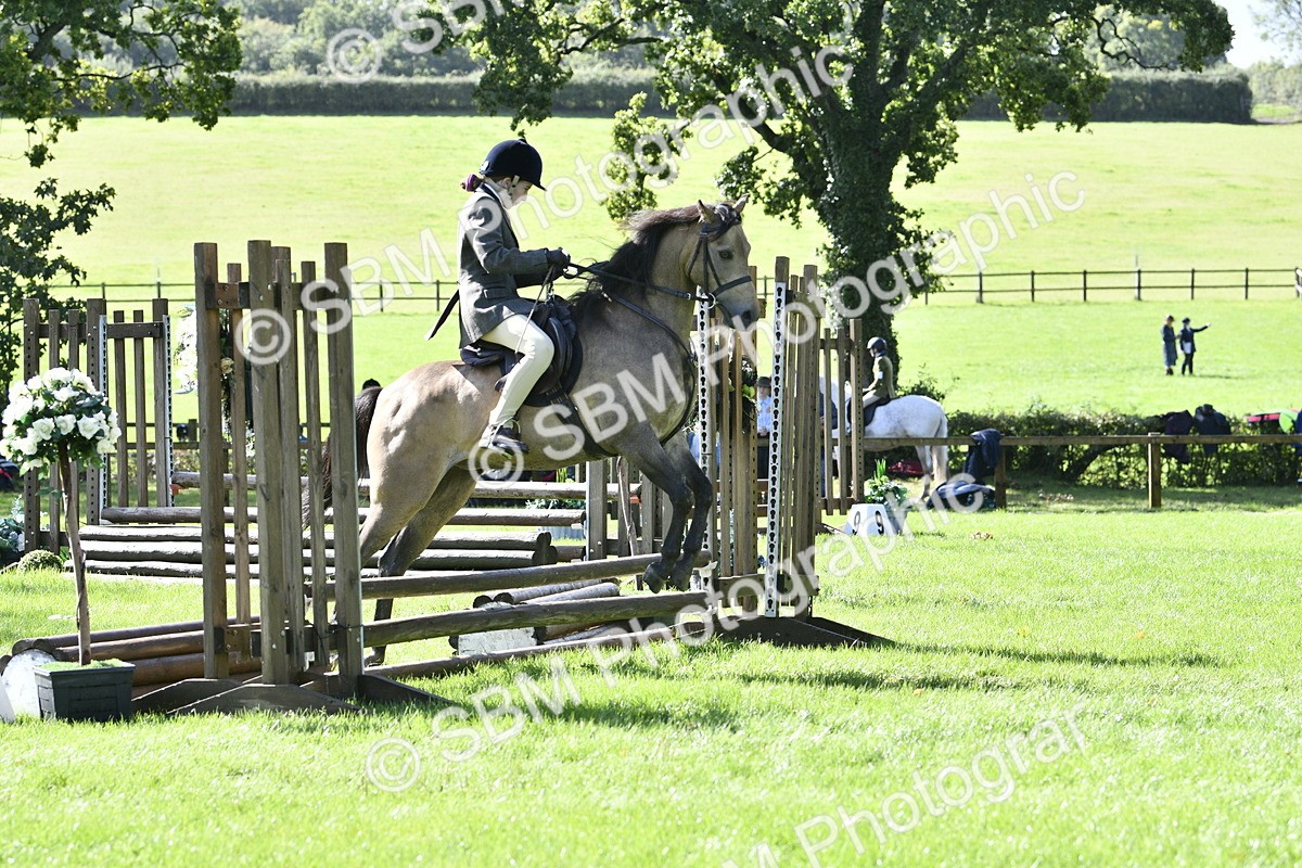SBM_38246 - S31 - Novice & Newcomer Working Hunter Pony