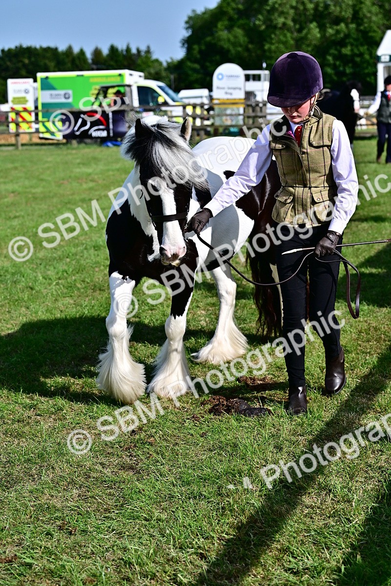 SBM_10079 - Class 63-65 - Traditional Gypsy Cobs In Hand & Ridden