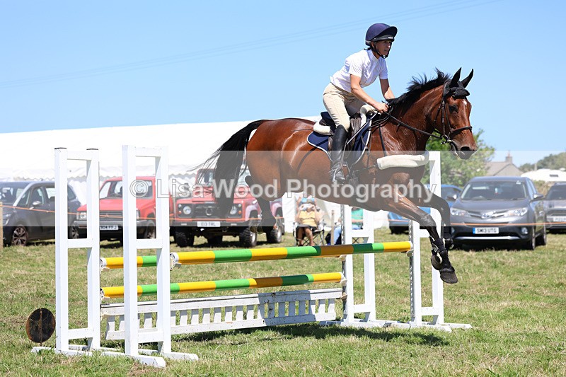 3E7A5475 - Class 9: Senior British Novice/90cm open