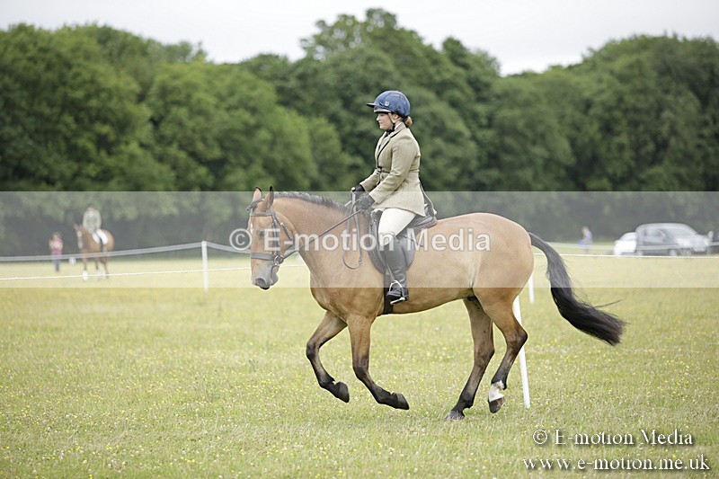 BVR160717-802 - Ring 1 BVRC Show 16/07/17