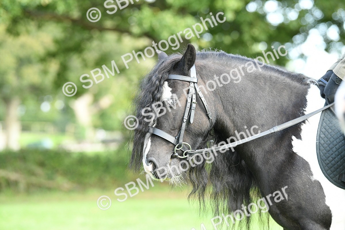 SBM_51830 - S21 - Novice & Newcomers 1st Ridden Pony