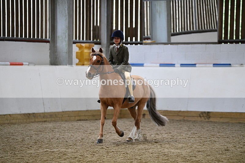 WJ5_6823 - Class 10 Childs Pony