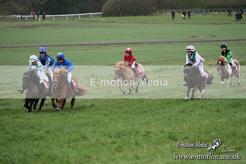 SHETPR 210425 159 - Shetland Ponies Paxford Races 21/04/25