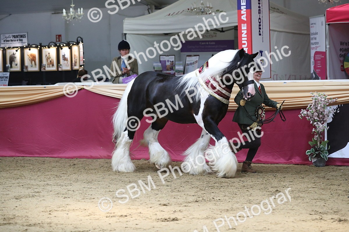 SBM_06610 - Regional IH Champ