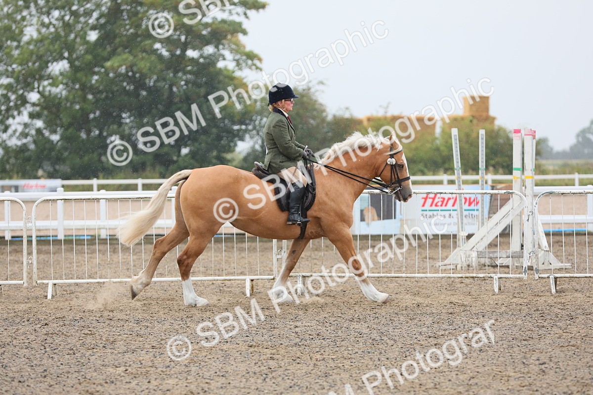 SBM_20294 - Class 803 - Ridden Combination 65+