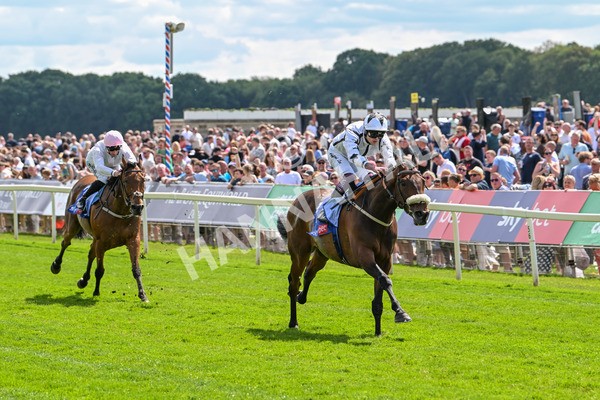 140625-Race 3-Al Qareem-2479 - Race 3 3.00pm Sky Bet Race To The Ebor Grand Cup Stakes
