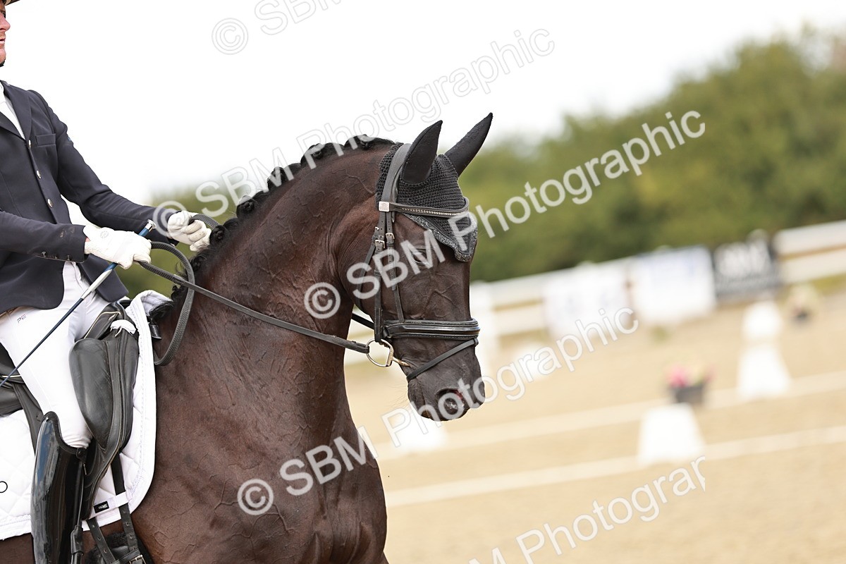 SBM_009589