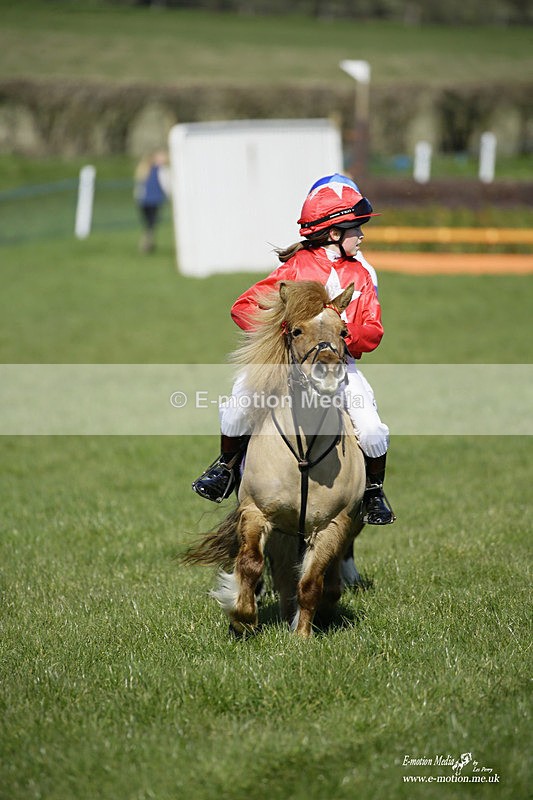 PtP 190322 47 - Wilton Hunt PtP Milborne St Andrew 19/03/22