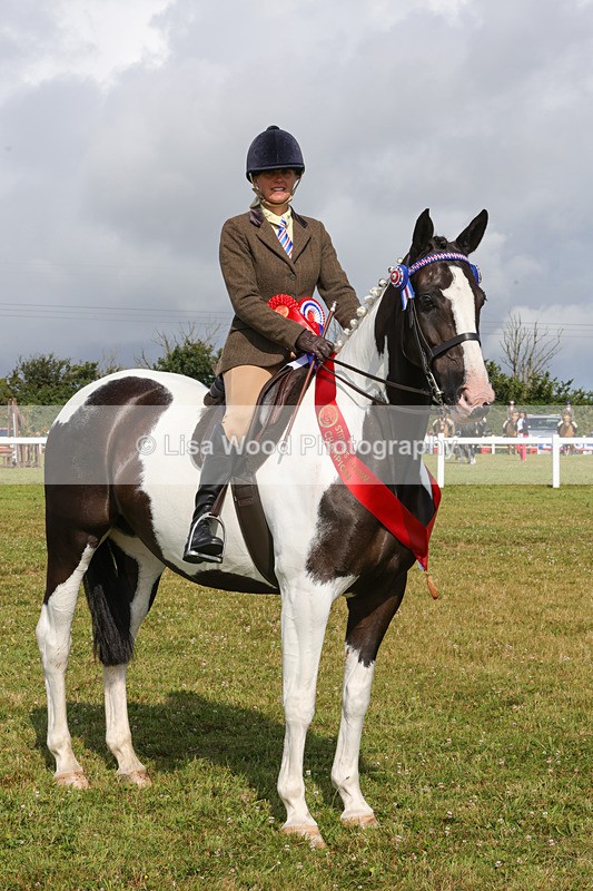1X9A3519 - Skewbald and Piebald Ridden Championship