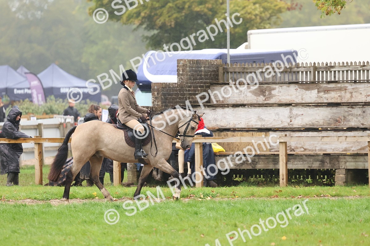 SBM_73056 - S63 Show Pony & Show Hunter Pony Ridden