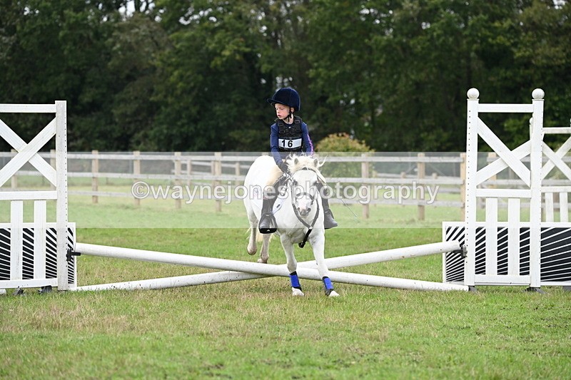 WJ6_0374 - 40cm Time 10:29 to 10:52