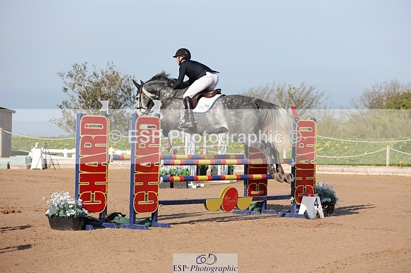 250427-084029-14584 - Cls 28 Young Horse 5yr old