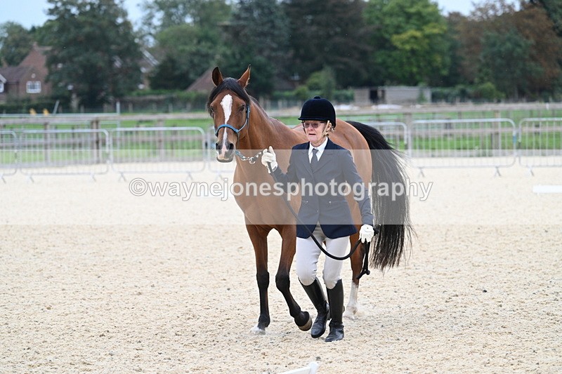 WJ7_1872 - Class 1 & Champs