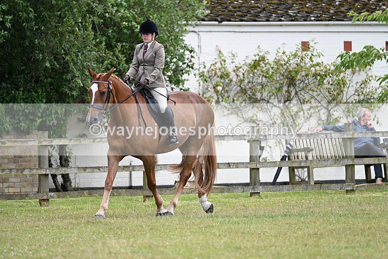 WJ7_9188 - Class 8 Ridden Veterans