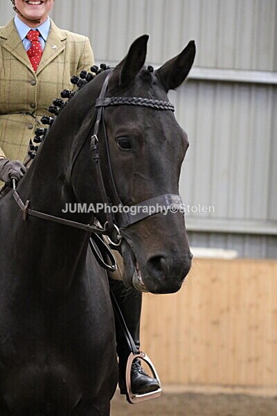 SIAL2682 - Sunday 14th Ridden