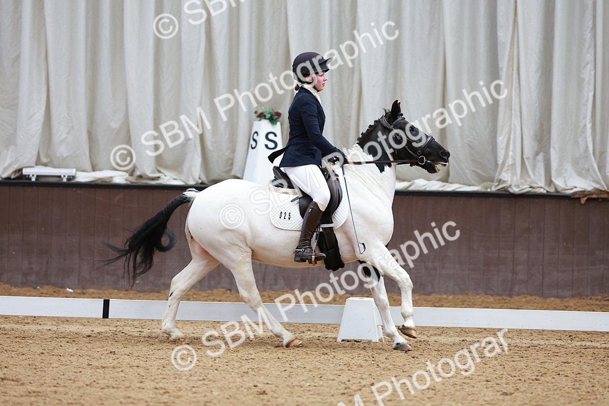 SBM_002911 - Class 14 - Novice 2