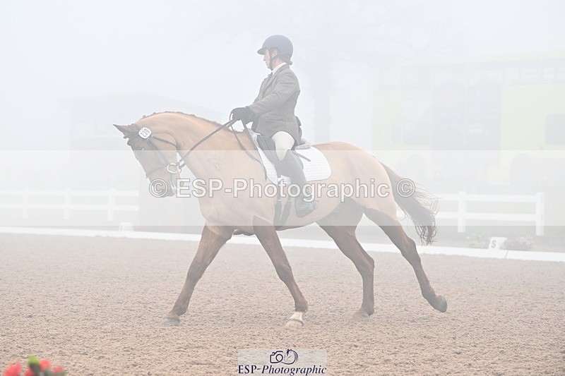 240217A-130523-02751 - 239-Sophie.Hawke-Dionysus