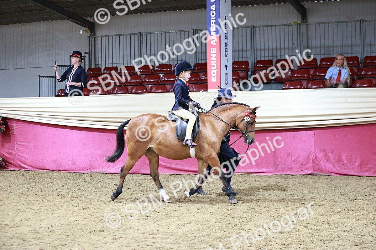 SBM_08398 - Class 11R - Regional Ridden Veteran