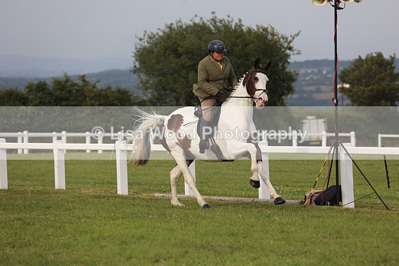 JPP_4717 - Working Hunter Championship