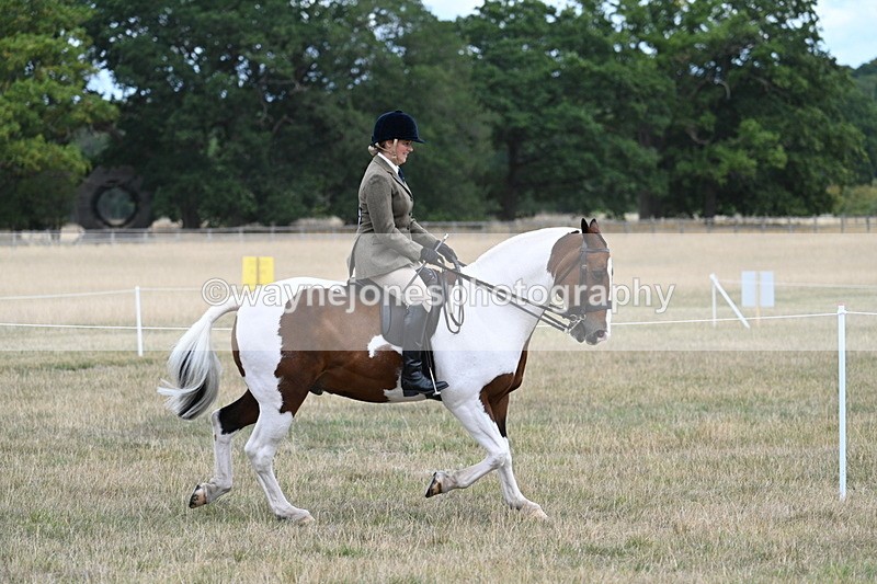 WJ7_4874 - Class 12 Ridden Cob