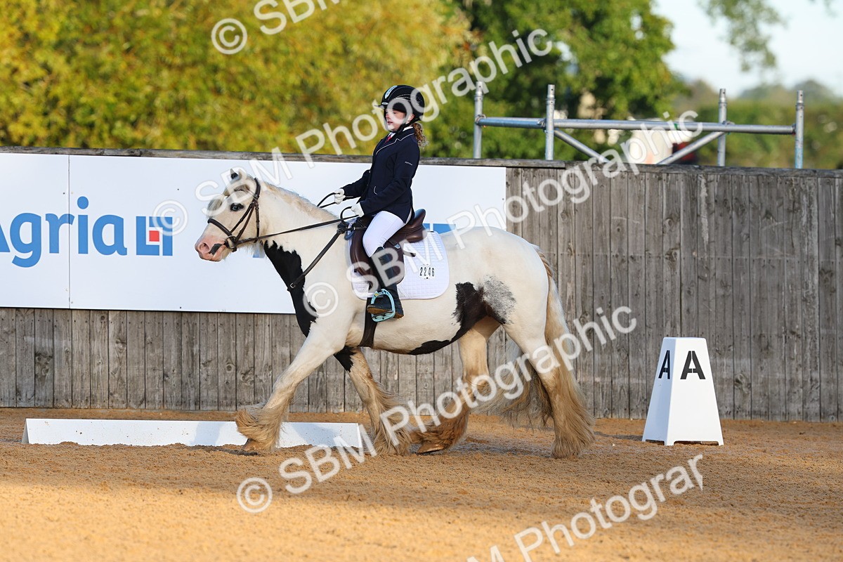 SBM_33427 - D26 - Test Starter Test 1