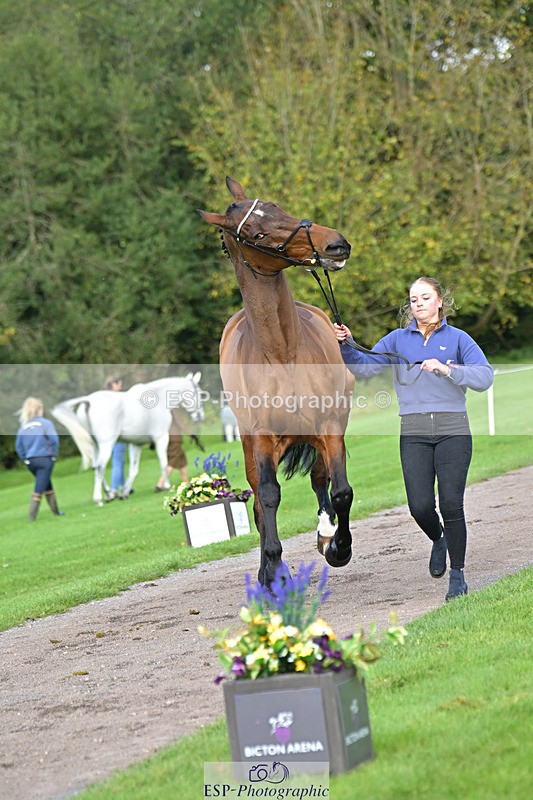 241023-131337-00142 - 008-Charlie.Piper-ZADOK.D