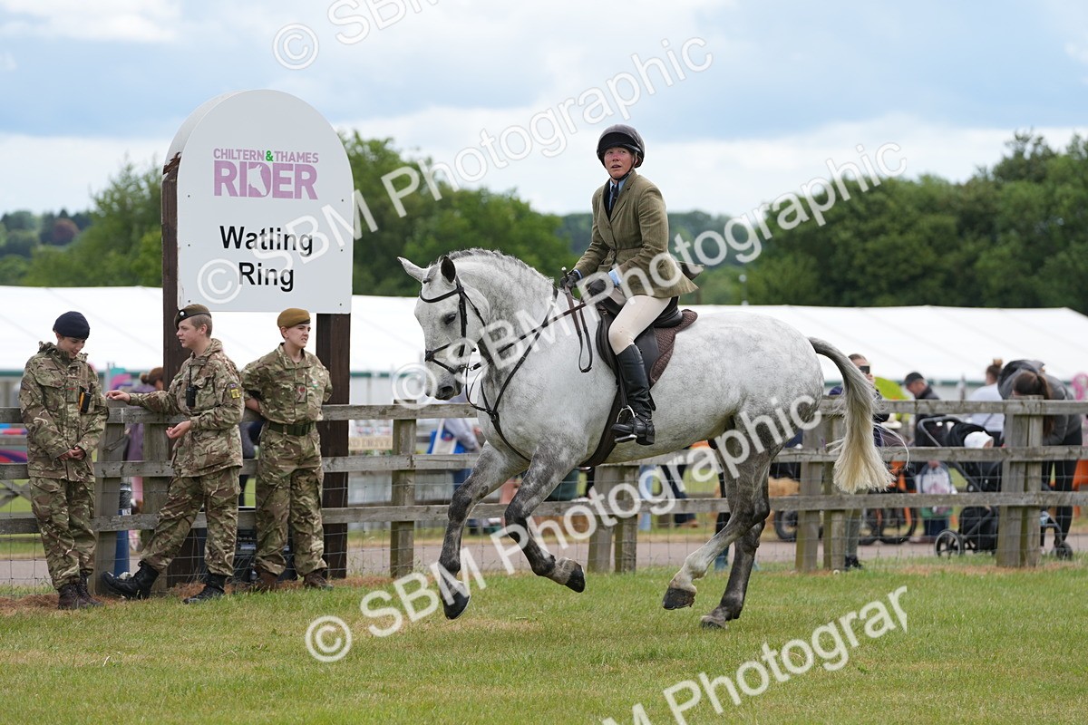 SBM_14883 - Class 100-102 - RIHS Working Hunter