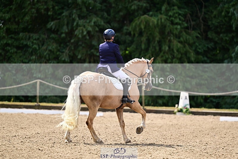 260802A-111250-05735 - Novice Silver break - break