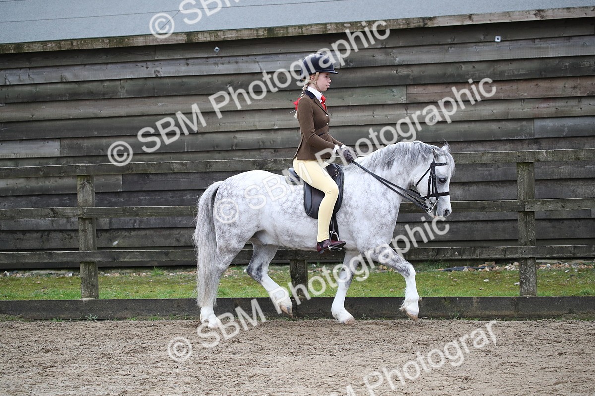 SBM_005896 - Class 10-13 - RIHS Small Large Breeds