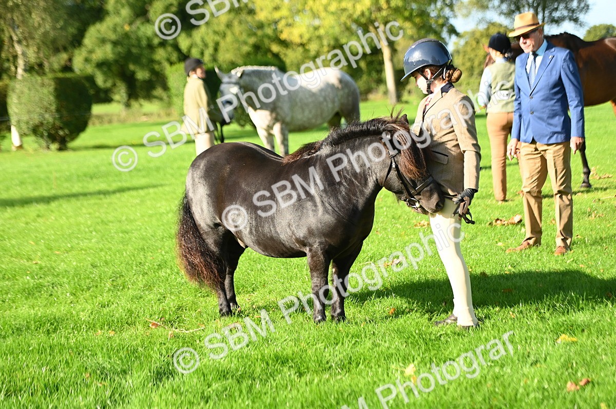 SBM_14751 - S1 - TSR in Hand Horse & Pony Showing