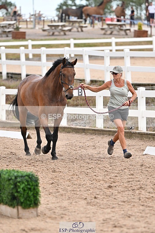 250716-145925-01582 - Trot Up 2.30 to 3.30
