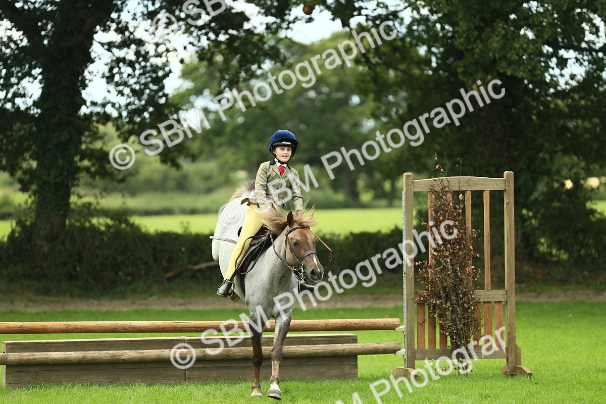 SBM_42776 - S30 - M&M Working hunter Pony