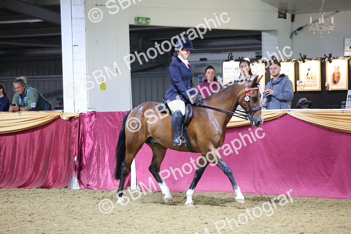 0B8A4524 - Class P Veteran Champ