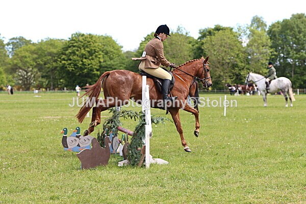IMG_2972 - Working Hunter