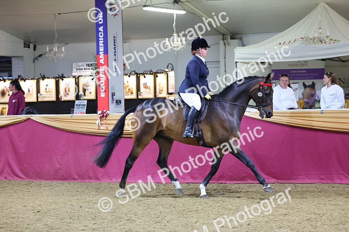 0B8A4289 - Class 108Ridden Retired Racehorse- Final Judging