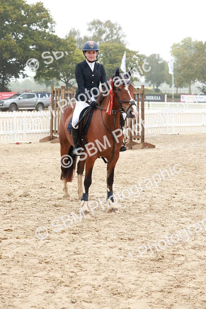 SBM_73637 - Supreme Championship Junior Pony 60cm & 65cm