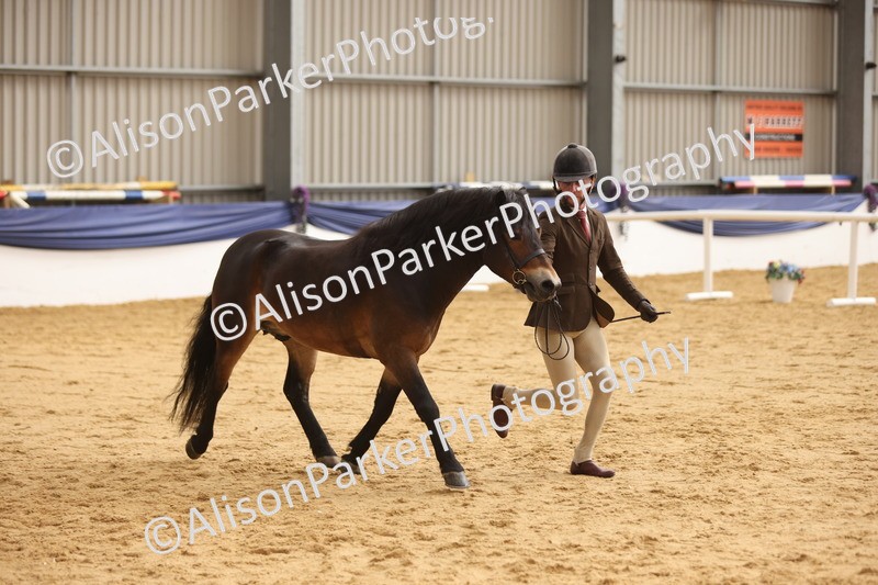 20260913-0657 - Class 126 - Novice Ridden