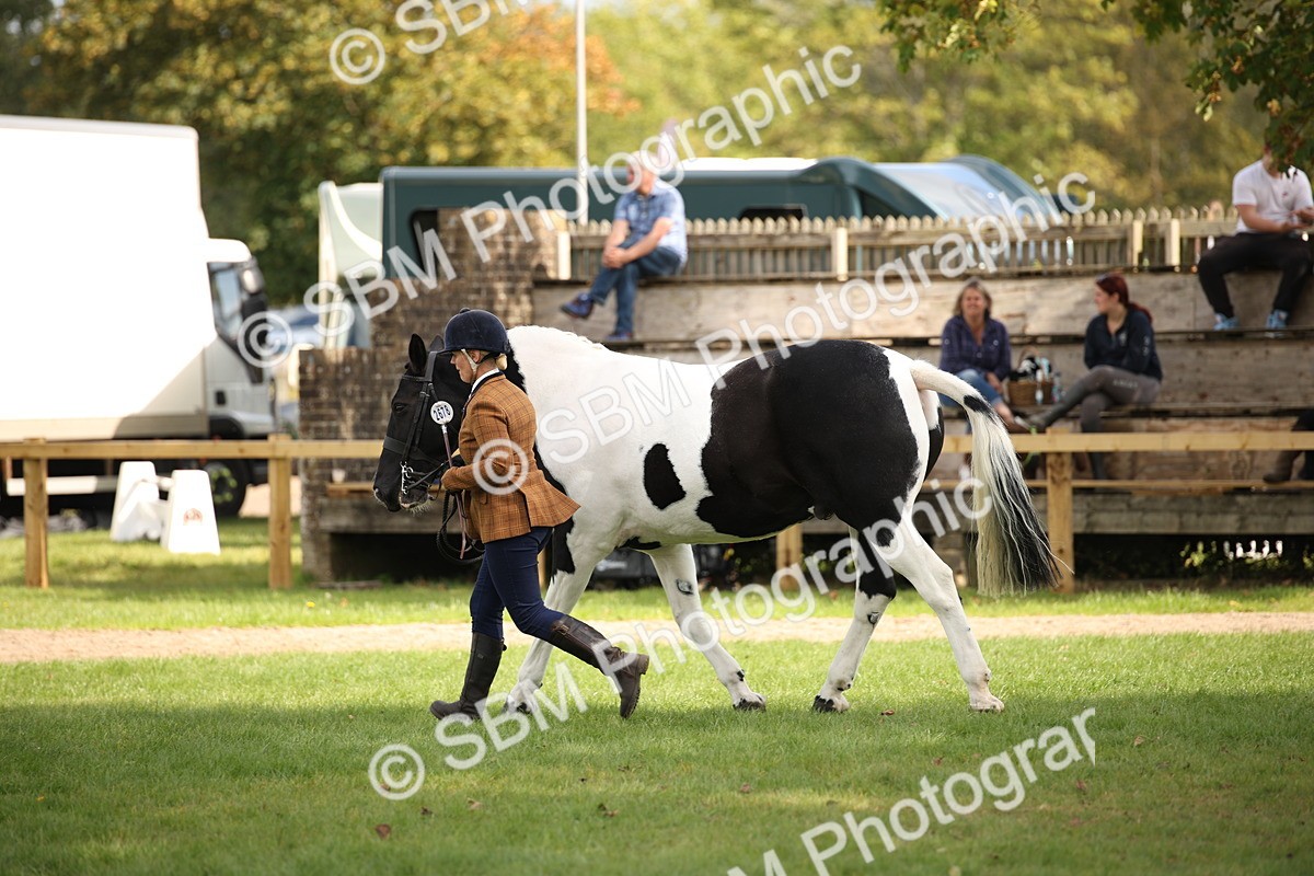 SBM_44499 - S24 - Young Veteran in hand