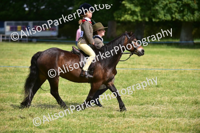 20260614-1139 - Class 11a - Lead Rein Pony (Unplaited)