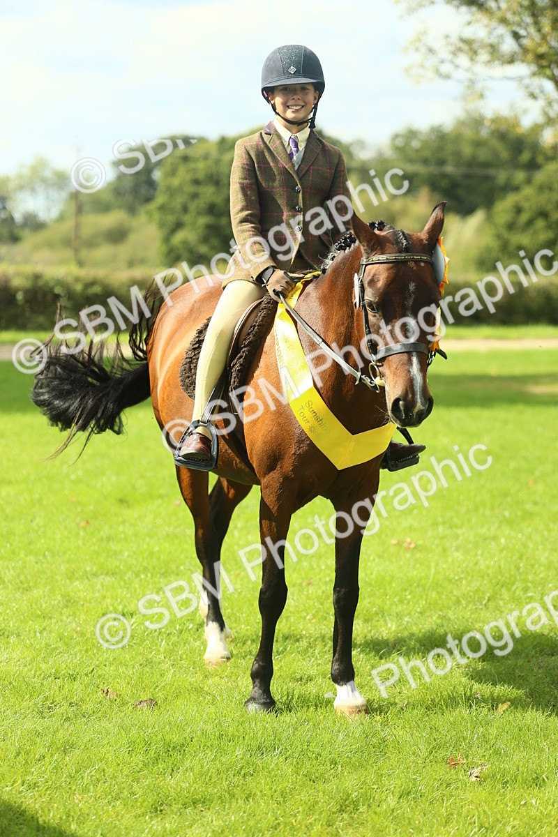 SBM_44994 - Working Hunter Pony Supreme Championship